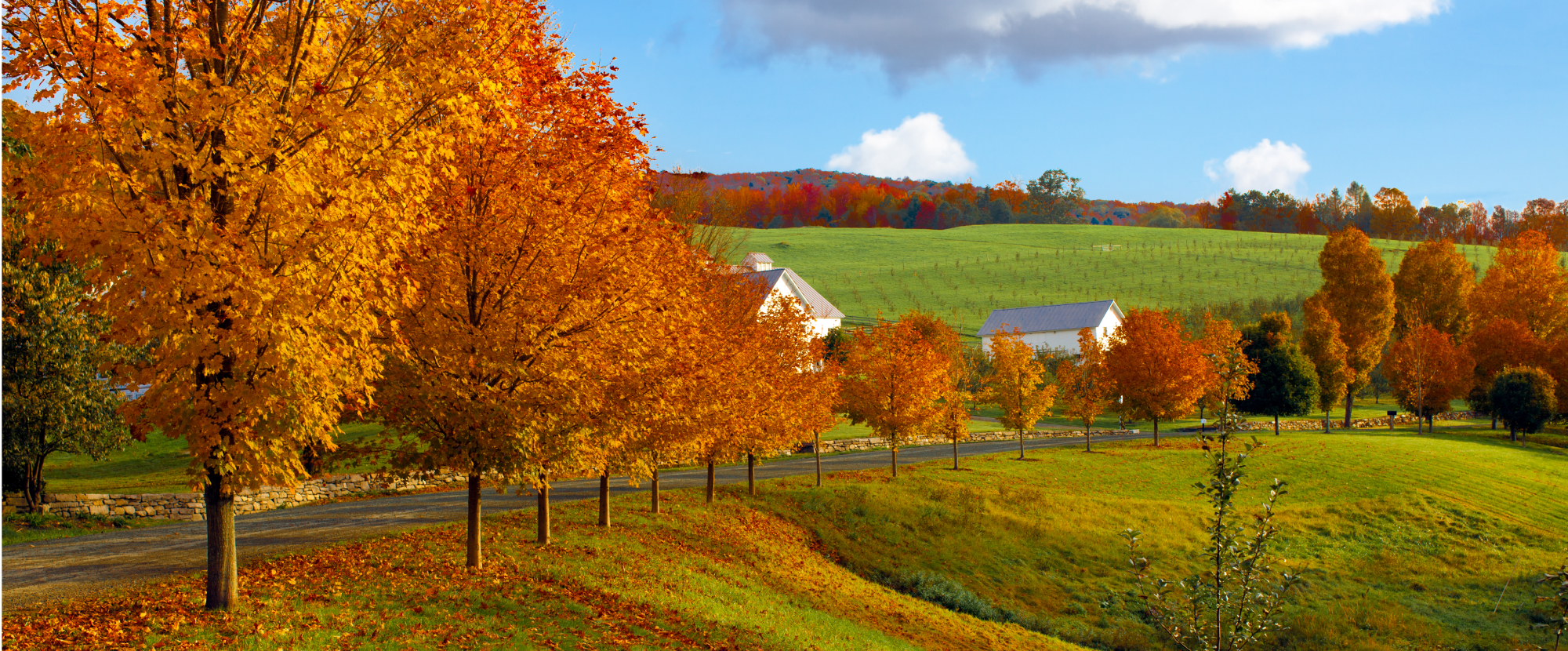 Fall foliage in New England
