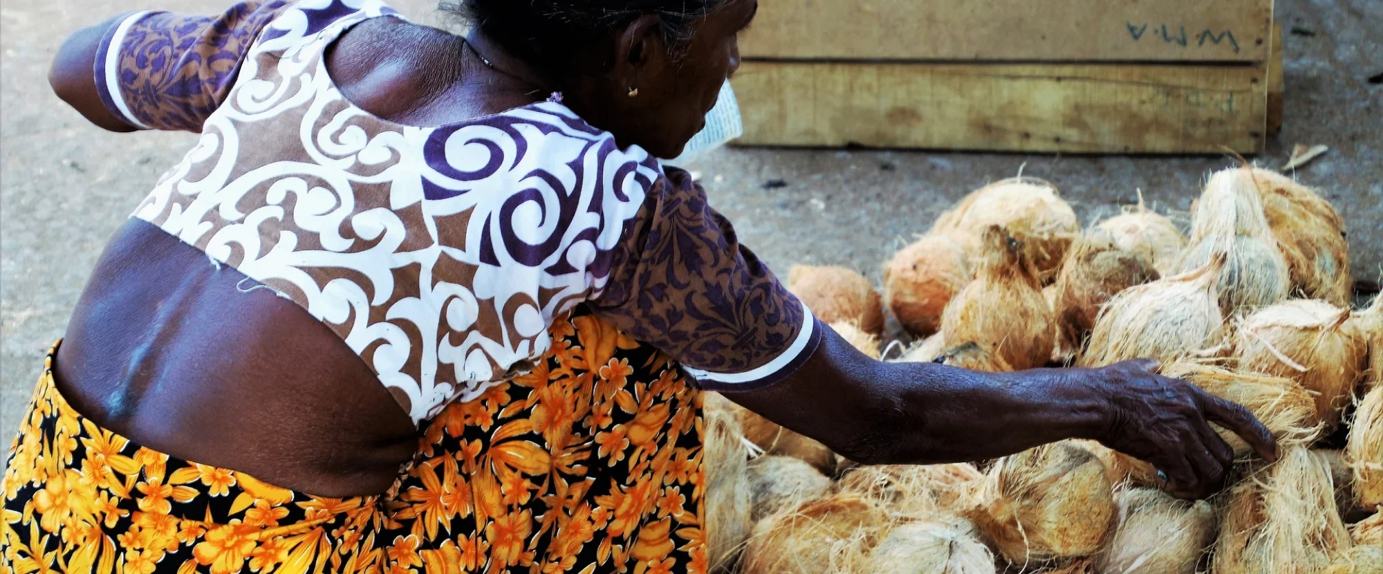 Local lady selling coconuts in Sri Lanka
