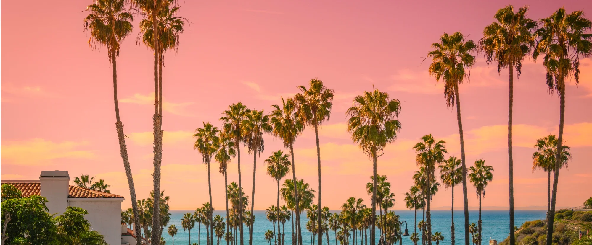 Palms at sunset overlooking the sea in Los Angeles, California