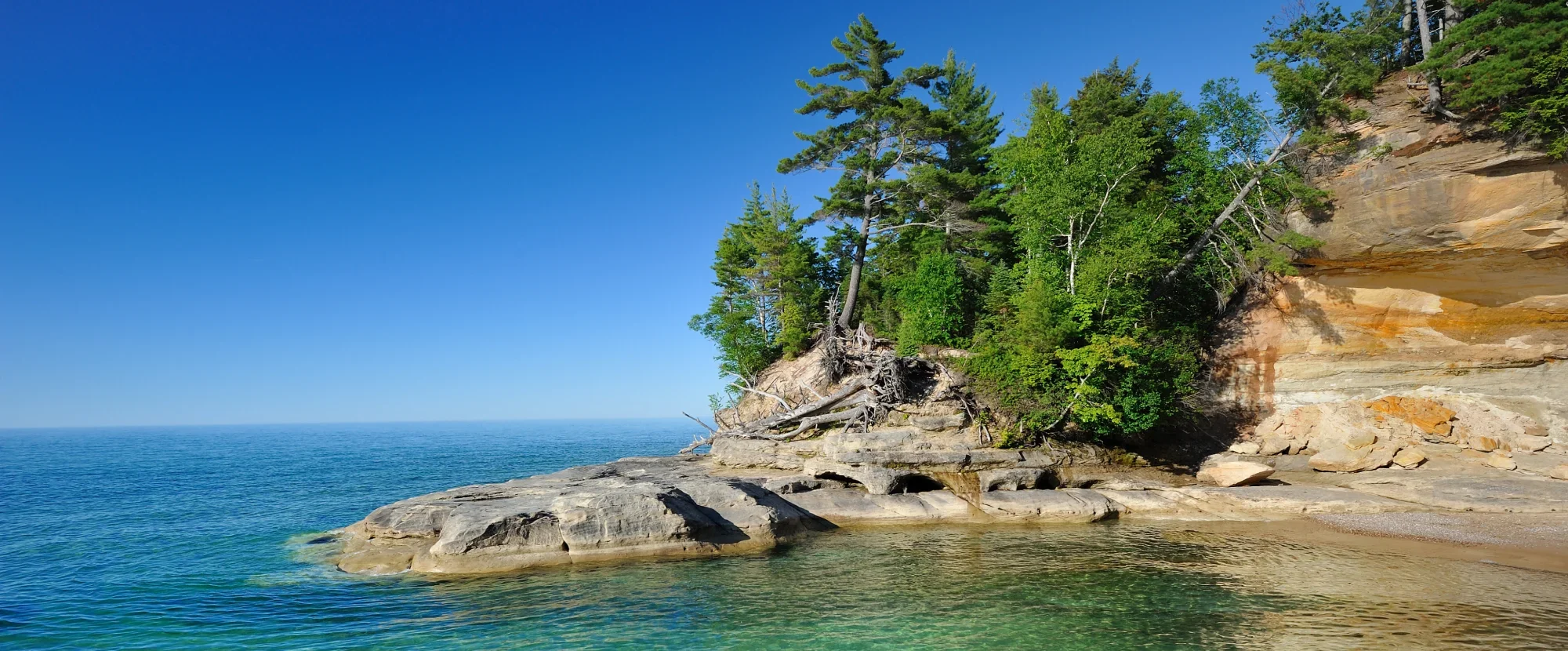 Evergreen trees beside the waters of Lake Superior
