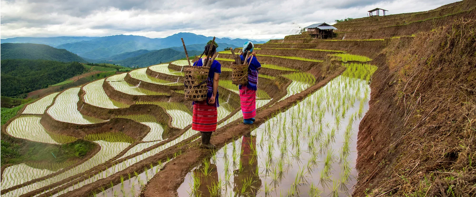 Rice fields and Hmong women in Sapa, Vietnam