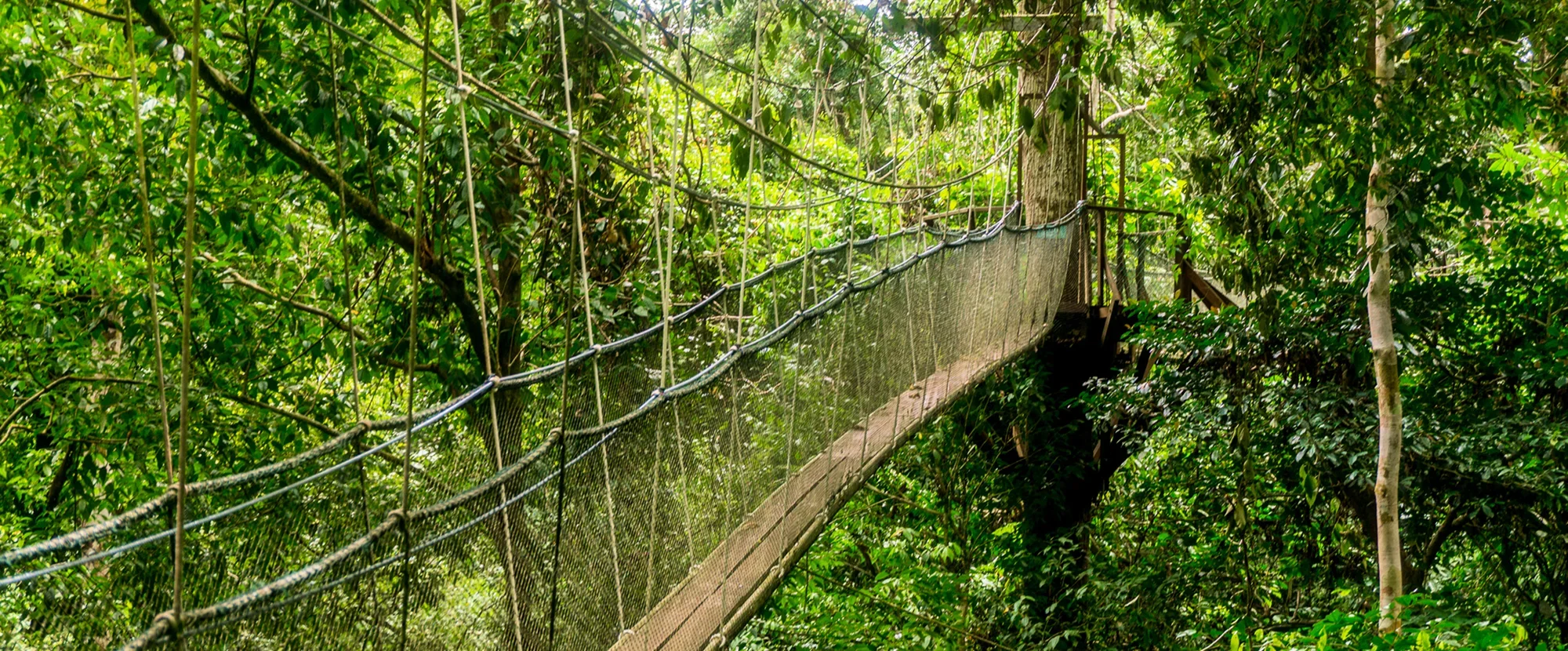 What to do in Borneo