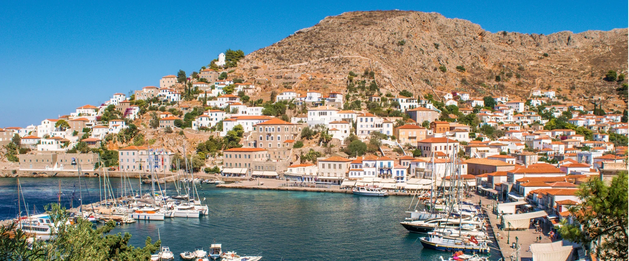 Hydra harbour