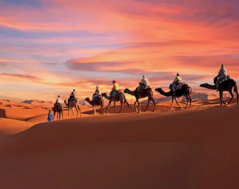 Erg Chebbi camel walk during sunset on Saharan sand dunes