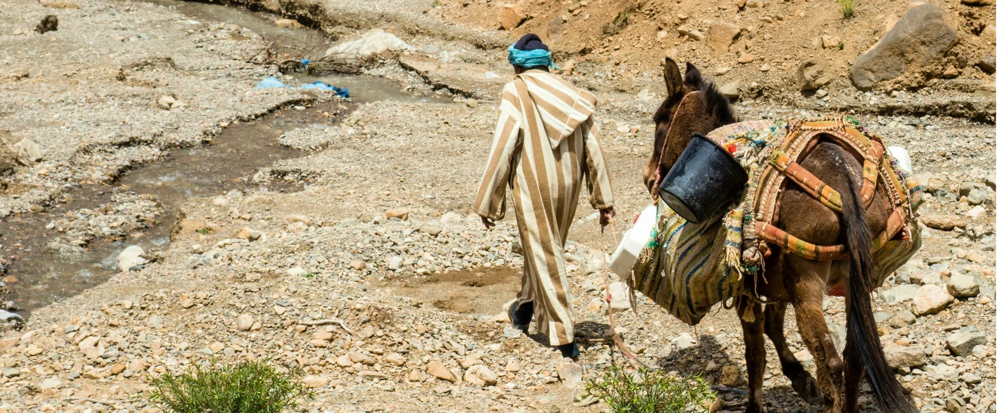 Man and donkey in the Atlas Mountains, Morocco