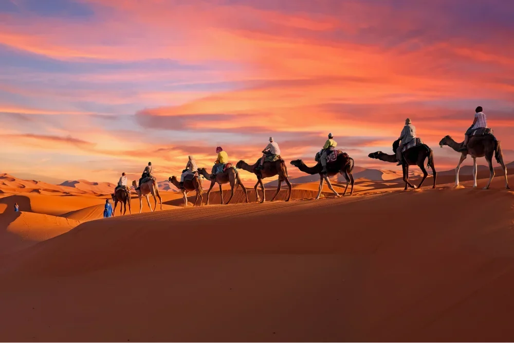 Erg Chebbi camel walk during sunset on Saharan sand dunes
