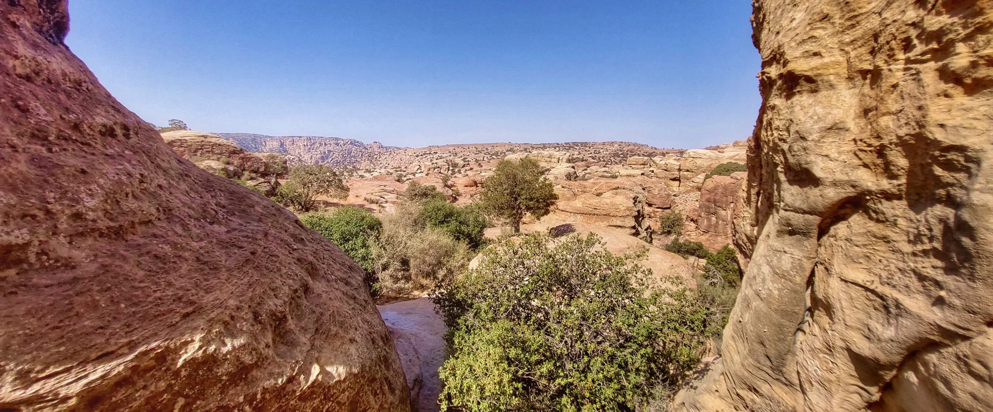 Dana Biosphere Reserve