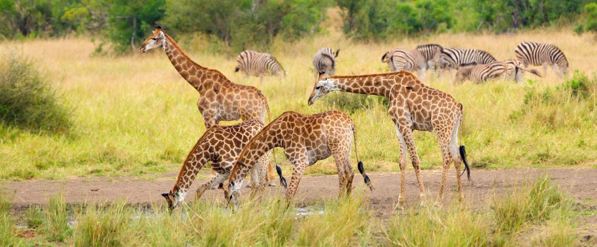 What to do in the Eastern Cape