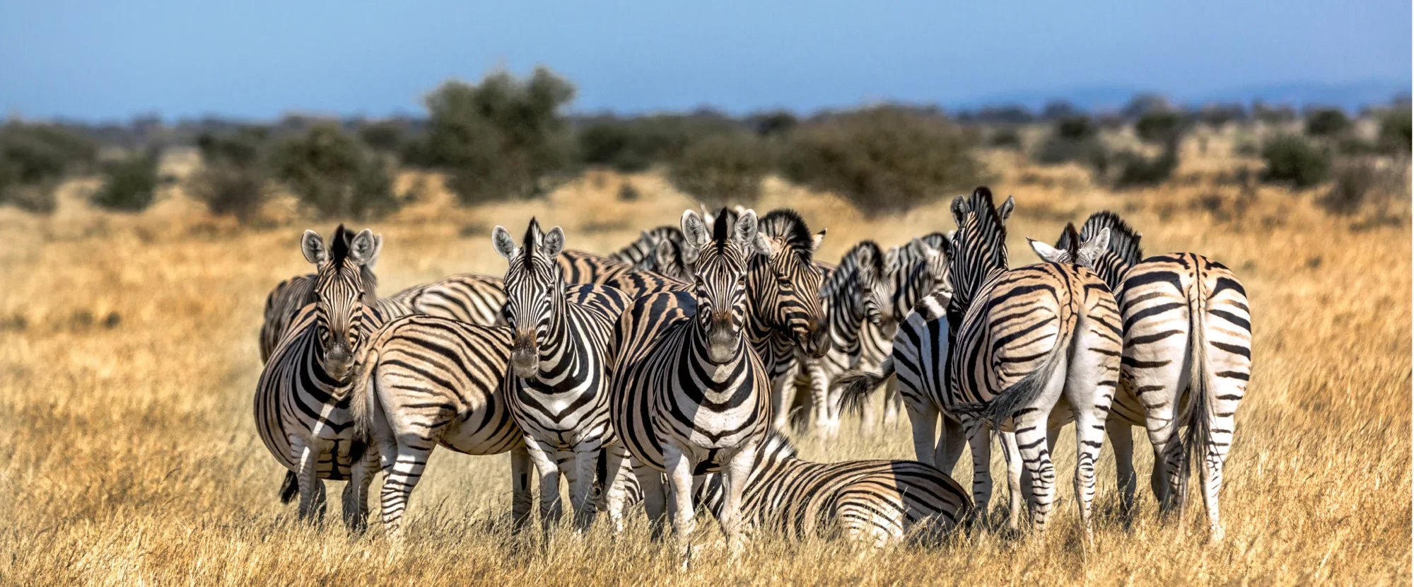 What to do in Greater Kruger