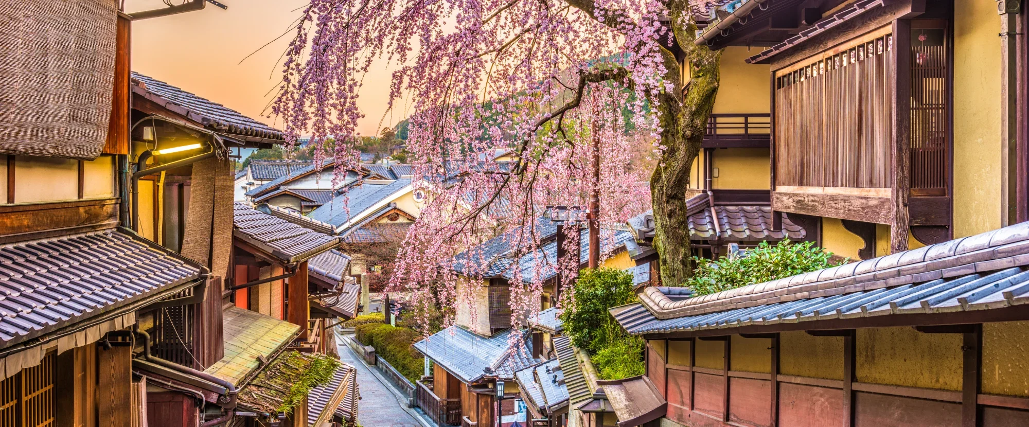 Higashiyama District during cherry blossom season, Kyoto, Japan